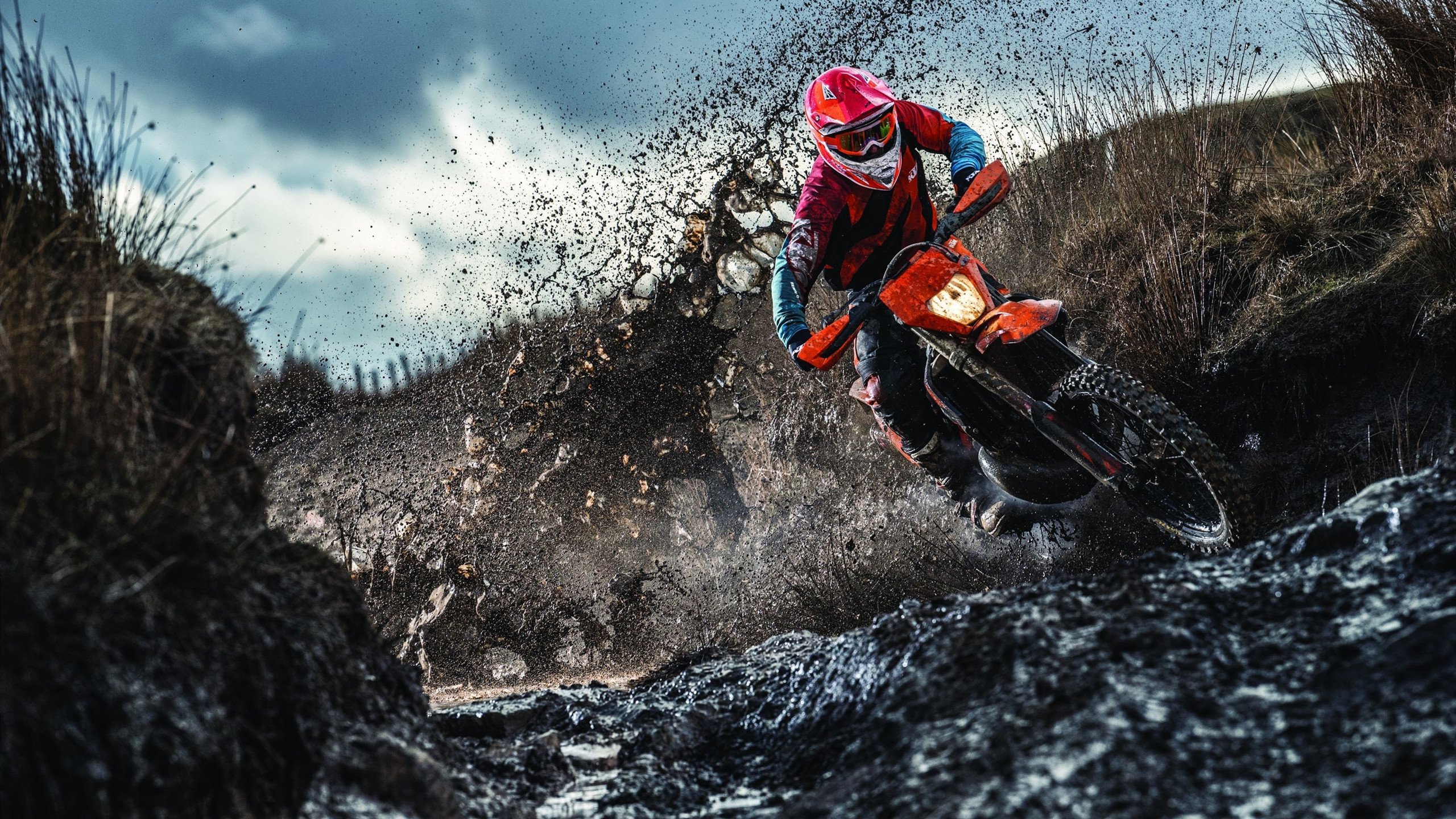 德甲争冠战成非洲杯续集，塞内加尔铁血意志如何击溃埃及法老？